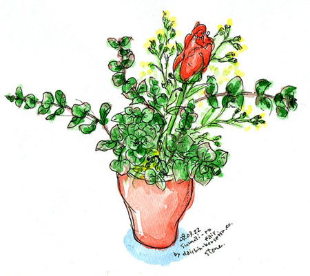 daisin.jpg